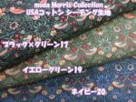 画像1: 大人気生地の小柄バージョン!!　moda　USAコットン　Morris Collection　いちご泥棒　シーチング生地 (1)