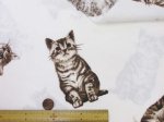 画像4: ビッグデザイン　ネコ・子猫柄　(オフホワイト)　コットンリネンキャンバス (4)