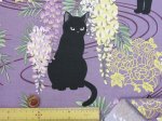 画像10: 和柄　百華繚蘭　-猫と藤-　シーチング生地　ゴールドラメ入り　キルトゲイト (10)