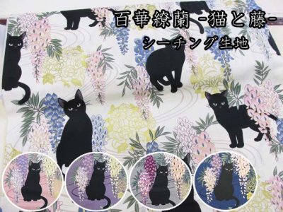 画像1: 和柄　百華繚蘭　-猫と藤-　シーチング生地　ゴールドラメ入り　キルトゲイト