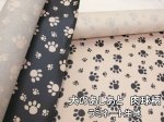 画像1: 犬のあしあと　肉球柄　ツイル生地　ラミネート　つや消し (1)