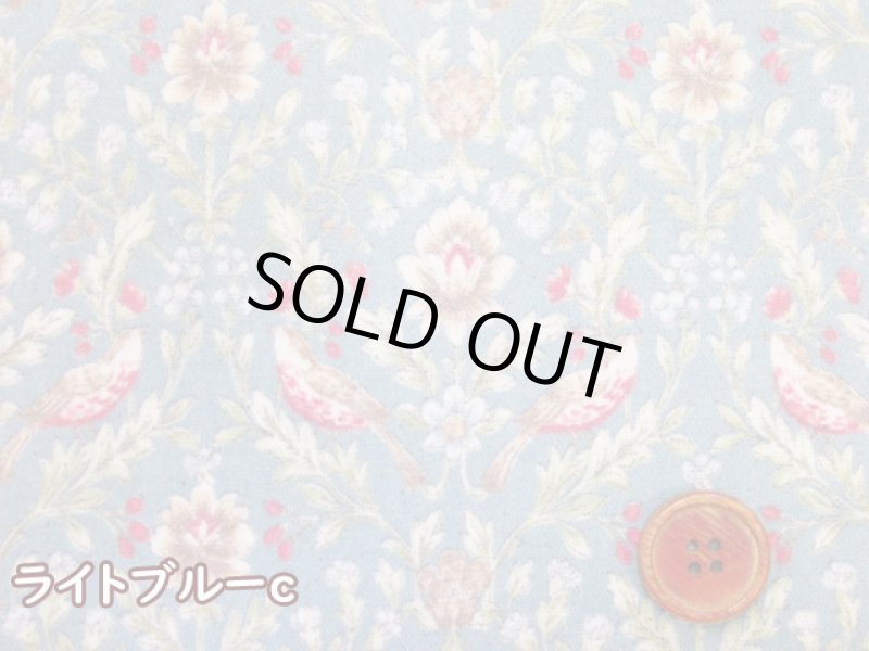 画像5: ダマスクバード　ダマスク・鳥柄　コットンリネンキャンバス生地　ラミネート　つや消し (5)