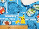 画像4: 2023年 ポケットモンスター ポケモン スカーレット・バイオレット柄 オックス生地　半針キルト　はぎれ１５ｃｍ (4)