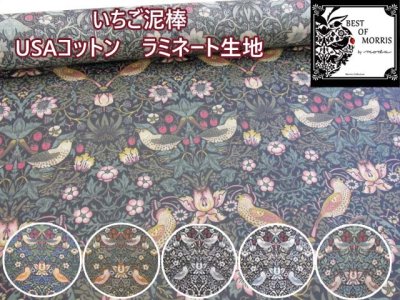 画像1: moda　USAコットン　Morris Collection　いちご泥棒　シーチング生地　ラミネート　つや消し