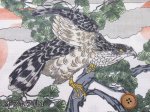 画像2: 和柄　鷹と松　日の出・松の木・タカ柄　ドビー生地 (2)
