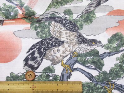 画像1: 和柄　鷹と松　日の出・松の木・タカ柄　ドビー生地