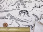 画像4: ダイナソーフォッシル　化石・骨・恐竜柄　オックス生地　全針キルト (4)