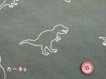 画像2: 刺繍巾96cm　恐竜　ダイナソー柄　刺繍オックス生地 (2)