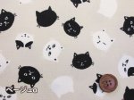 画像2: にゃんこフェイス　黒猫・猫柄　オックス生地 (2)