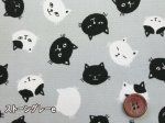 画像5: にゃんこフェイス　黒猫・猫柄　オックス生地 (5)