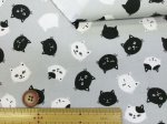 画像7: にゃんこフェイス　黒猫・猫柄　オックス生地 (7)