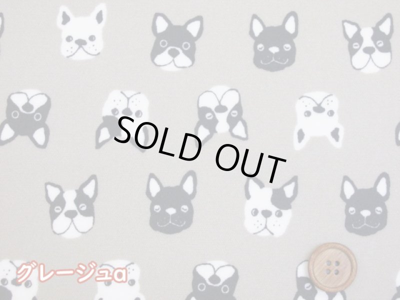 画像2: フレンチブルフェイス　フレンチブルドッグ・犬柄　オックス生地　ラミネート　つや消し (2)