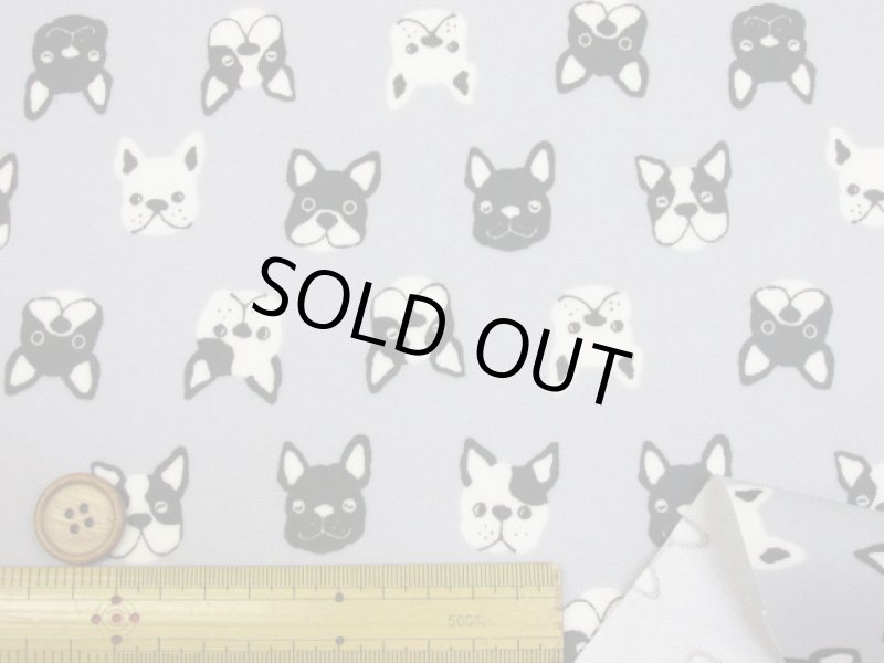 画像7: フレンチブルフェイス　フレンチブルドッグ・犬柄　オックス生地　ラミネート　つや消し (7)