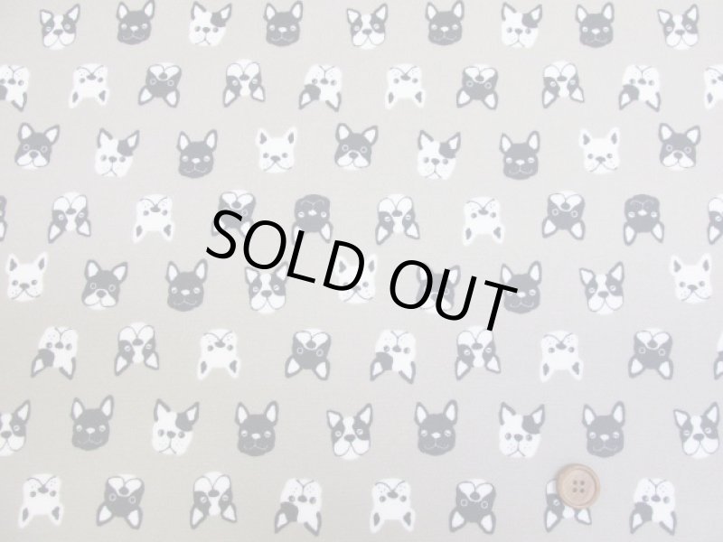 画像3: フレンチブルフェイス　フレンチブルドッグ・犬柄　オックス生地　ラミネート　つや消し (3)