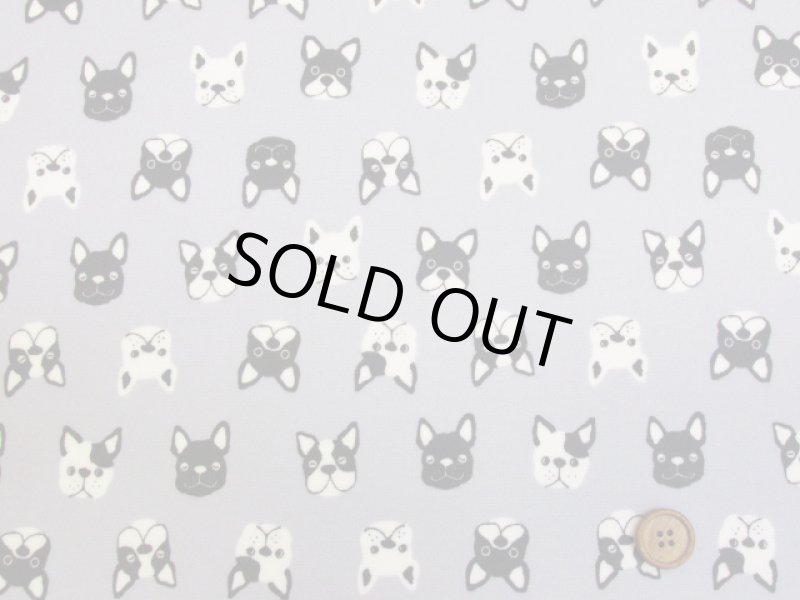 画像6: フレンチブルフェイス　フレンチブルドッグ・犬柄　オックス生地　ラミネート　つや消し (6)