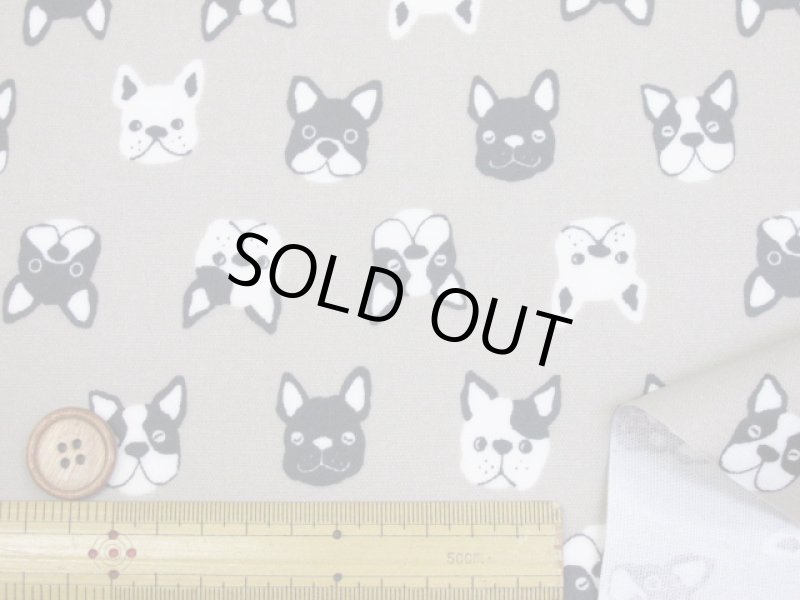 画像4: フレンチブルフェイス　フレンチブルドッグ・犬柄　オックス生地　ラミネート　つや消し (4)