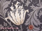 画像5: BEST OF MORRIS moda　アネモネ　フラワー・花柄　USAコットン　シーチング生地 (5)