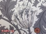 画像2: BEST OF MORRIS moda　アネモネ　フラワー・花柄　USAコットン　シーチング生地　ラミネート　つや消し (2)