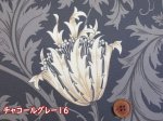 画像5: BEST OF MORRIS moda　アネモネ　フラワー・花柄　USAコットン　シーチング生地　ラミネート　つや消し (5)