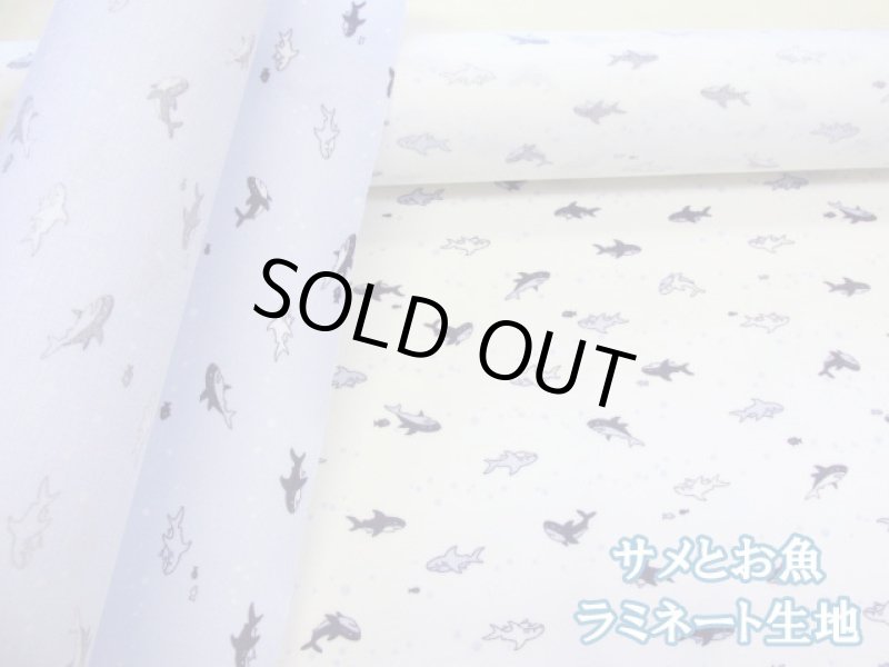 画像1: 可愛い　サメとお魚　サメ柄　シーチング生地　ラミネート　つや消し (1)
