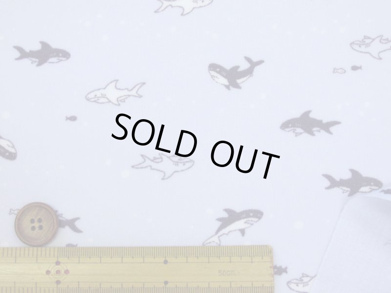 画像7: 可愛い　サメとお魚　サメ柄　シーチング生地　ラミネート　つや消し (7)