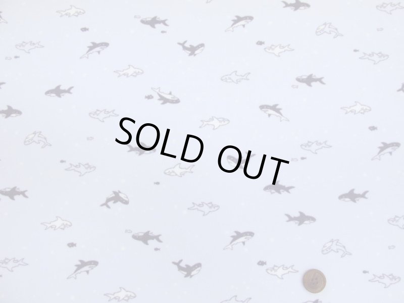 画像6: 可愛い　サメとお魚　サメ柄　シーチング生地　ラミネート　つや消し (6)