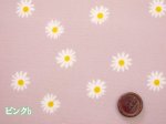 画像2: デージーフラワー　フラワー・花柄　オックス生地　ラミネート　つや消し (2)