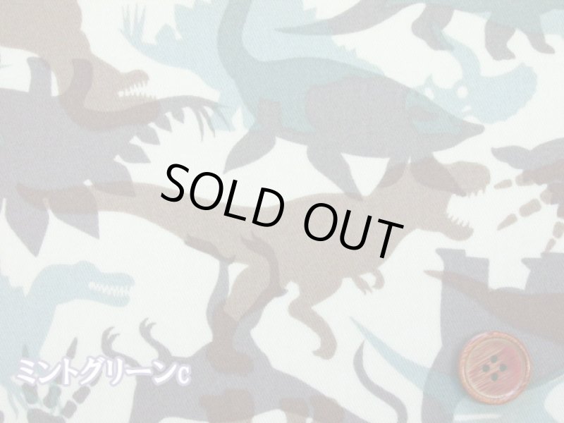 画像8: ダイナソーシルエット　恐竜・迷彩・カモフラージュ柄　ツイル生地　ラミネート　つや消し (8)