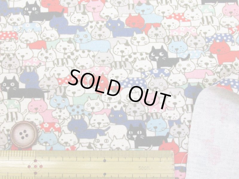 画像4: ぎゅうぎゅうキャット　ネコ・猫柄 インクジェットプリント 綿麻キャンバス生地  コットンこばやし (4)