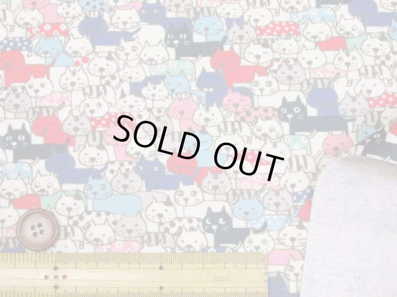 画像4: ぎゅうぎゅうキャット　ネコ・猫柄 インクジェットプリント 綿麻キャンバス   ラミネート　つや消し　コットンこばやし (4)