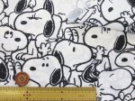 画像4: 142cm幅　スヌーピー　モノトーン柄　ポリエステルオックス生地 (4)