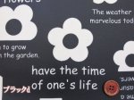 画像5: ライクフラワーズ　英字　フラワー・花柄　オックス生地　ラミネート　つや消し (5)