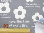 画像10: ライクフラワーズ　英字　フラワー・花柄　オックス生地　ラミネート　つや消し (10)