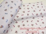 画像1: フェミニンベアーフェイス　クマ・リボン柄　オックス生地　コスモテキスタイル (1)