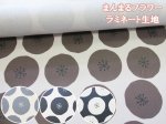 画像1: まんまるフラワー　あんぱん　フラワー・花柄　オックス生地　ラミネート　つや消し (1)