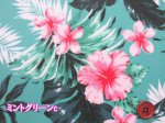 画像5: ハワイアン　ハイビスカス　プルメリア　フラワー・花柄　オックス生地　ラミネート　つや消し (5)