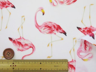 画像1: セブンベリー フラミンゴ　鳥・動物柄　ブロード生地　ラミネート　つや消し