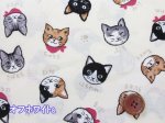 画像2: キャットフェイス　ネコ・猫・顔柄　シーチング生地 (2)