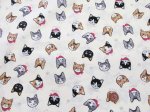 画像3: キャットフェイス　ネコ・猫・顔柄　シーチング生地 (3)