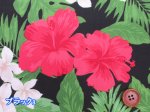 画像2: ハワイアン　ハイビスカス　花柄　TCブロード生地 (2)