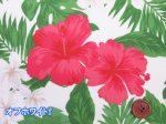 画像11: ハワイアン　ハイビスカス　花柄　TCブロード生地 (11)