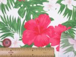 画像13: ハワイアン　ハイビスカス　花柄　TCブロード生地 (13)