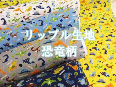 画像1: 人気の恐竜柄!!　フェミニンダイナソー　恐竜柄　リップル生地