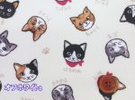 画像2: キャットフェイス　ネコ・猫・顔柄　シーチング生地　ラミネート　つや消し (2)