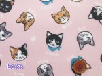 画像5: キャットフェイス　ネコ・猫・顔柄　シーチング生地　ラミネート　つや消し (5)