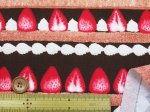 画像7: リピート入荷!!　ショートケーキ　イチゴ・ケーキ・苺柄　オックス生地 (7)