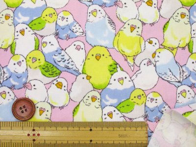 画像2: インコ大集合　インコ　鳥柄　オックス生地