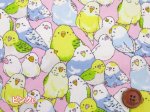 画像5: インコ大集合　インコ　鳥柄　オックス生地 (5)