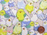 画像2: インコ大集合　インコ　鳥柄　オックス生地 (2)