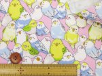 画像7: インコ大集合　インコ　鳥柄　オックス生地 ラミネート　つや消し (7)